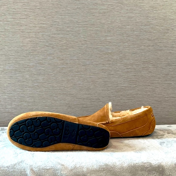 UGG ASCOT - Picture 4 of 4